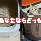 【上から猫トイレ：アイリスオーヤマ】【ニャンとも清潔トイレ：花王】レビュー！