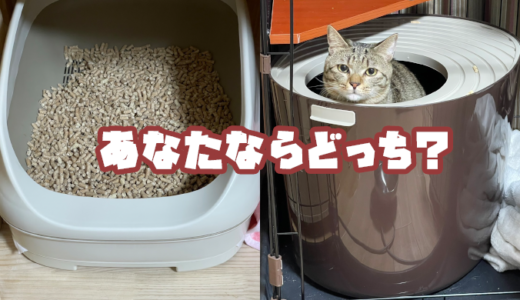 【上から猫トイレ：アイリスオーヤマ】【ニャンとも清潔トイレ：花王】レビュー！
